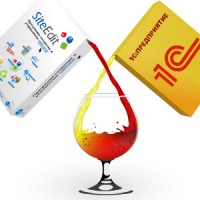 Интернет-магазины SiteEdit интегрировались с 1C